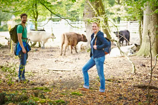 Ausflug in den Hutewald