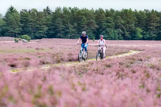 Radfahren in der Heide