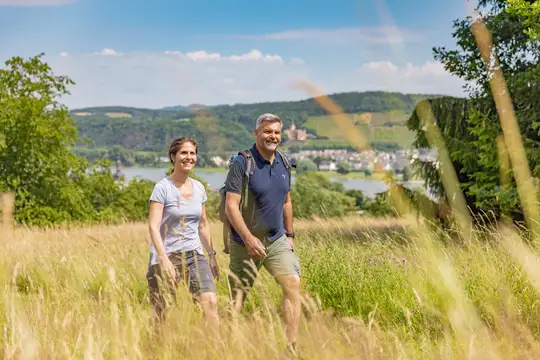 Wandern im Breisiger Ländchen