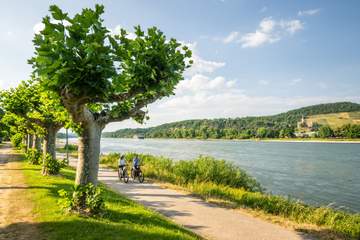 Rheinradweg Bad Breisig