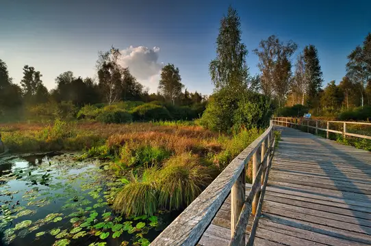 Banngebiet Staudacher Bad Buchau