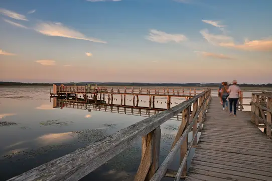 Federseesteg Bad Buchau