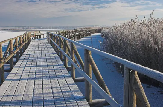 Federseesteg im Winter Bad Buchau