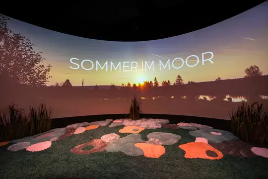 Eine Show für alle Sinne „Sommer im Moor“