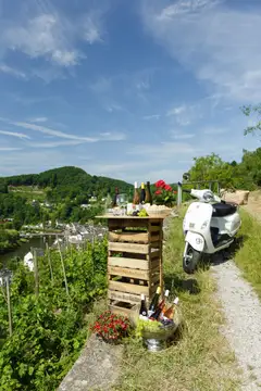 Weinprobe in den Weinbergen von Obernhof
