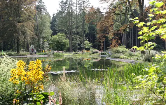 Romantische Mersmannteiche