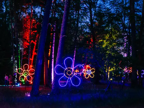 Sparkassen-Waldleuchten 15. – 31. März 2019