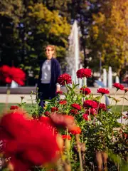 Flanieren neben Blüten