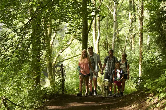 Wanderung im Naturschutzgebiet Bacher Lay