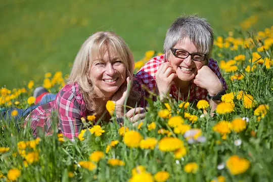 Der Wiesensteig im Frühling