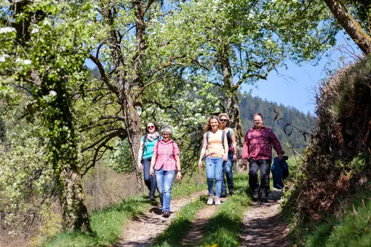 Genusswandern Bad-Peterstal-Griesbach