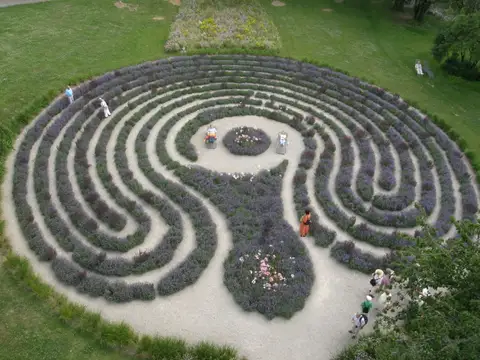 Lavendellabyrinth im Salinenpark