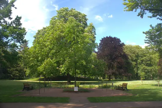 Duftorgel im Kurpark