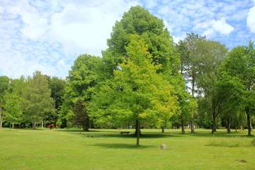 Kurpark Bad Westernkotten