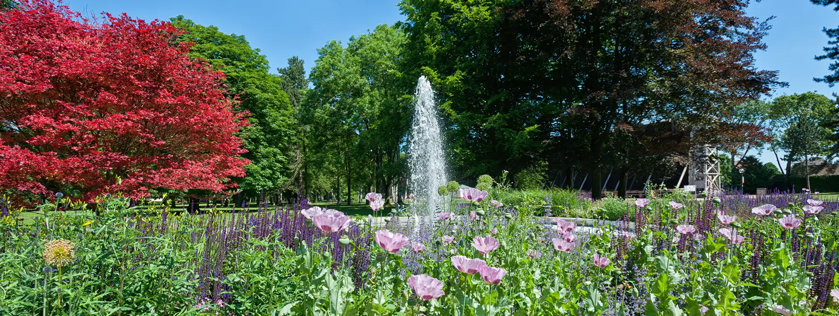 Bad Westernkotten – Natur, Sole & Moor – Durchatmen im Herzen Westfalens