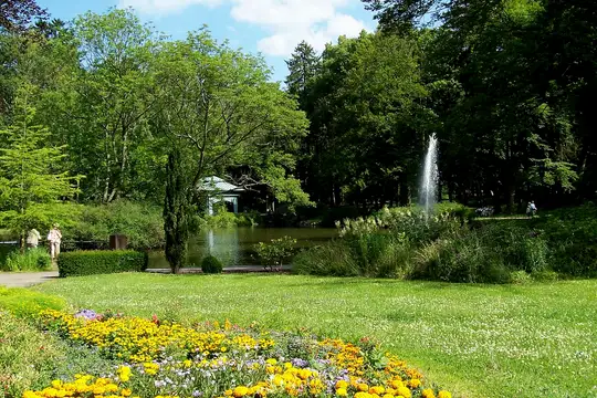 Der Schwanenteich in Reinhardshausen