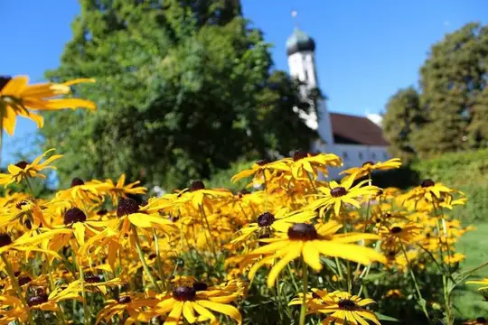 Im Meditationsgarten des Klosters