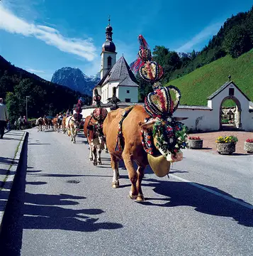 Almabtrieb im Bergsteigerdorf Ramsau