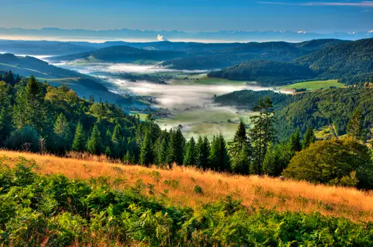 Schönstes Hochtal im Schwarzwald