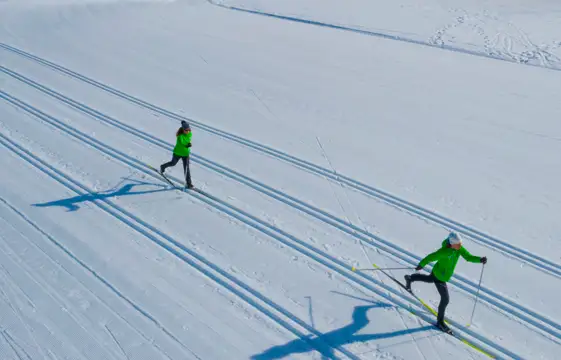 Die beste Spur im Schwarzwald
