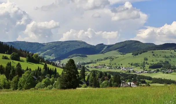 Ganz oben im Schwarzwald