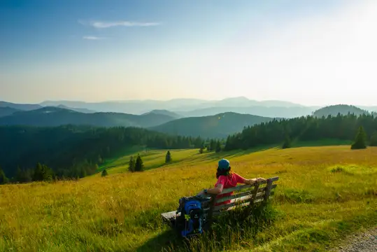 Im Schwarzwald ganz oben