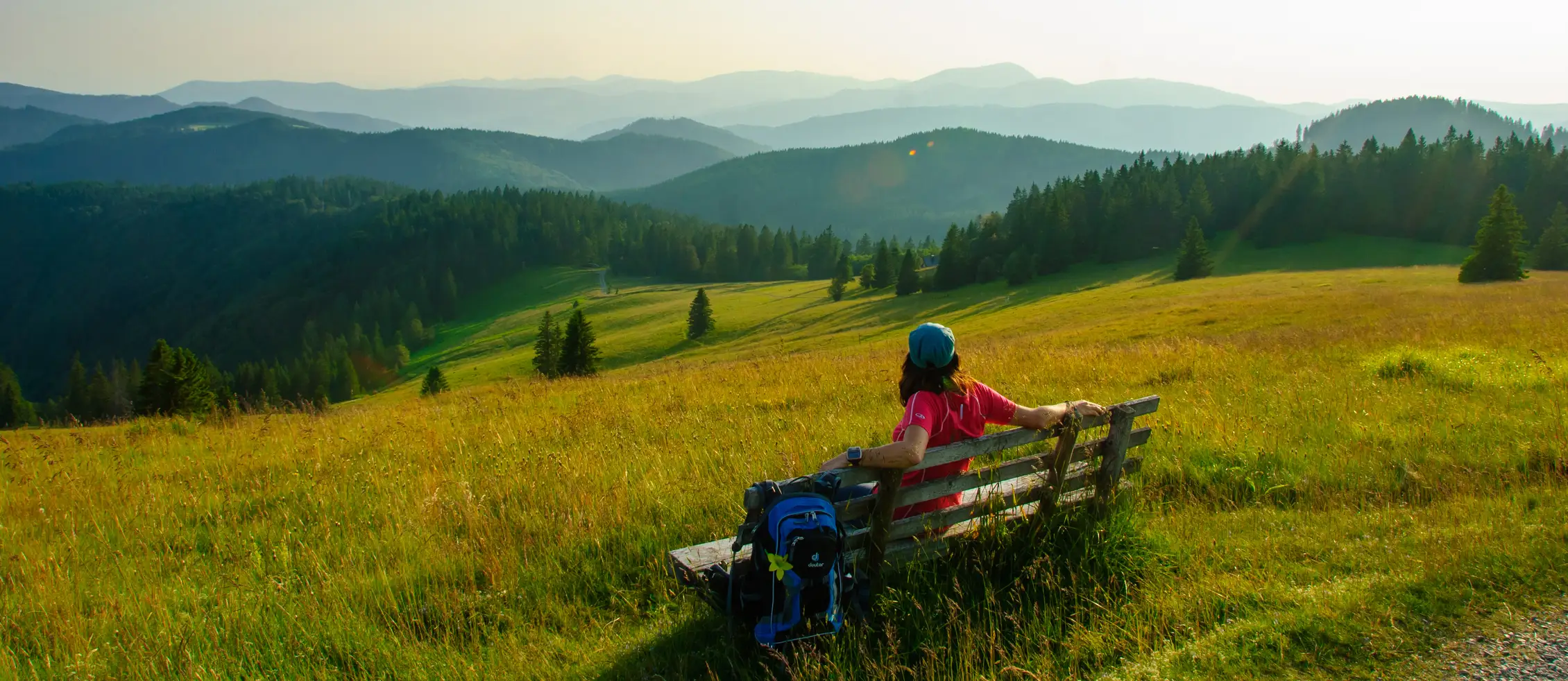 Bernau – Den Schwarzwald entdecken!