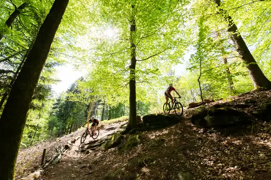 Mountainbiker auf der PUR in St. Ingbert