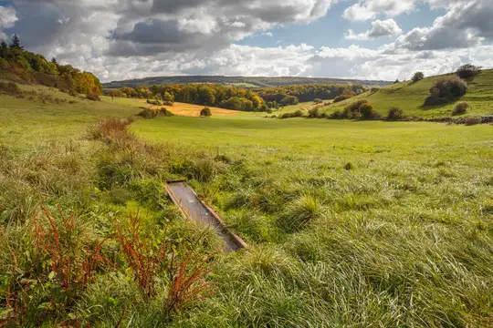 Wildwiese bei Wolfersheim in der Biosphäre Bliesgau