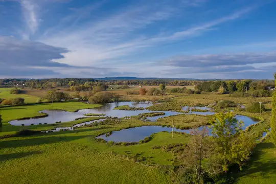 Beeder Biotop in der nördlichen Biosphäre Bliesgau