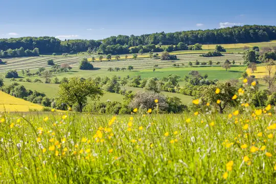 Typische sanfthügelige Bliesgaulandschaft im Frühling