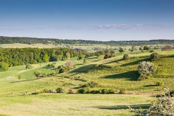 Typische sanfthügelige Bliesgaulandschaft im Sommer