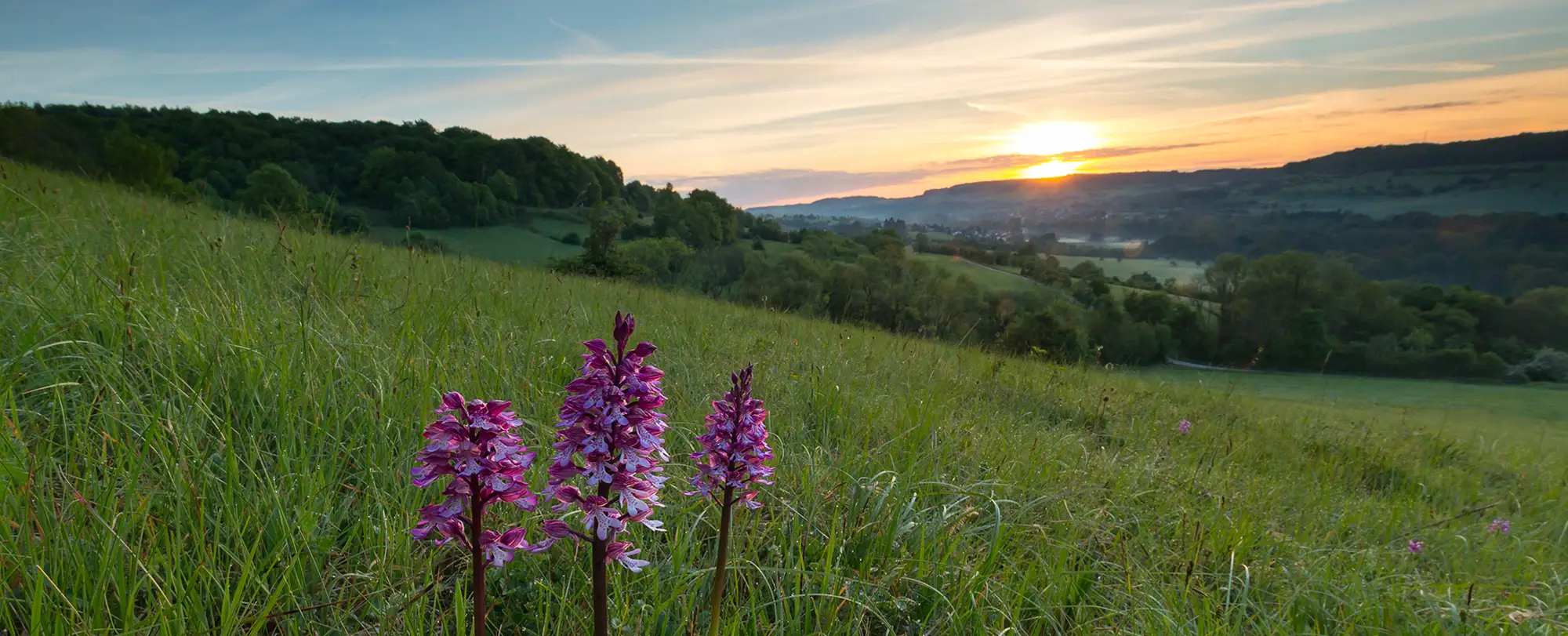 UNESCO-Biosphärenreservat Bliesgau im Saarland