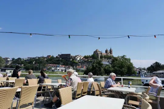 Blick vom Elsass auf das St. Stephansmünster