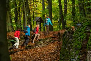 Kneipp ErlebnisPark Olsberg