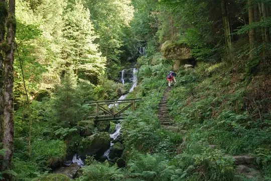 In den Gertelbach-Wasserfällen bei Bühlertal