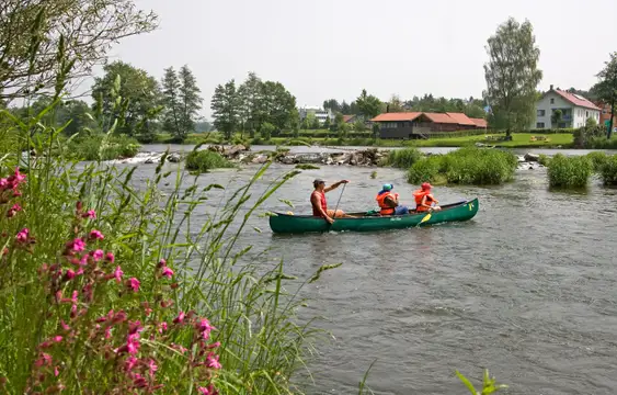 Cham-Roding - Kanuten bei Wiesing