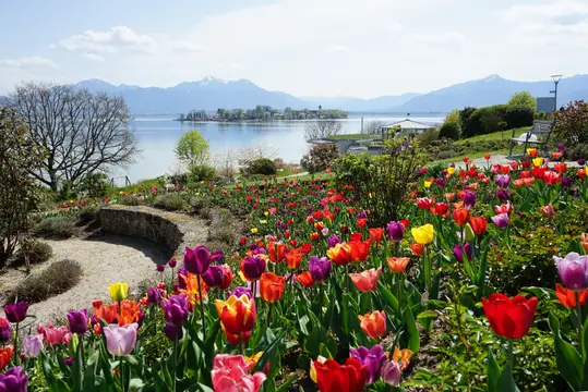 Frühling am Chiemsee