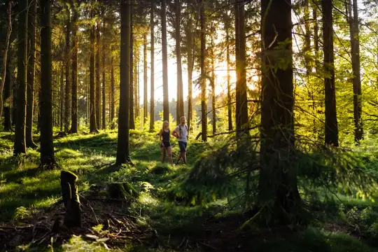 Wandern am Rennsteig in Masserberg