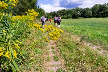 Wandern am Grünen Band