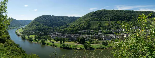 Blick auf Moselkern im Ferienland Cochem