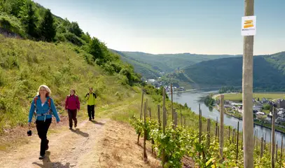 Wandern auf dem Moselsteig im Ferienland Cochem