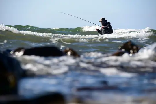 Angeln in dänischen Gewässern