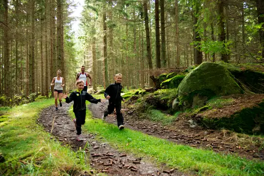 Spannende Entdeckungstouren in der Natur