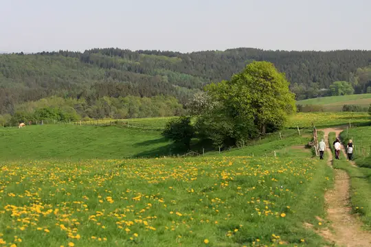 Wandergruppe im Bergischen Land