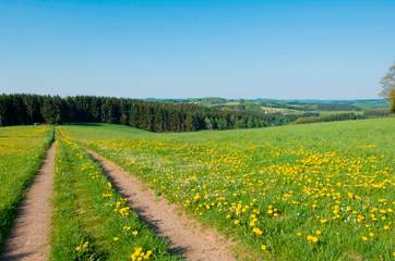 Wanderweg im Bergischen Land