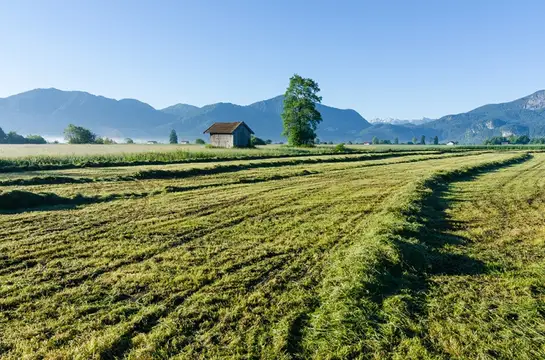 Idylle im Blauen Land