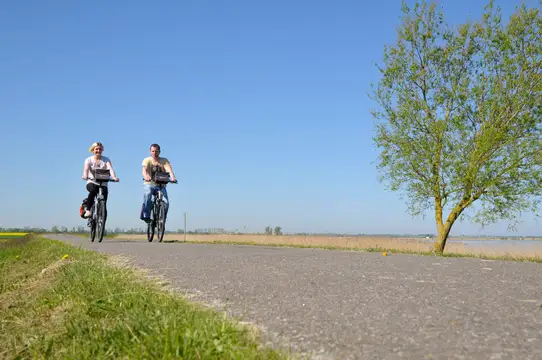  Radler auf dem Ostseeküstenradweg