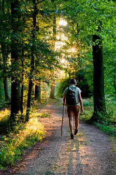 Wandern im Dillinger Land