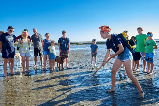 Wattwanderung im Weltnaturerbe Wattenmeer